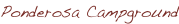 shapeimage_46_link_0