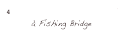 4 Fishing Bridge Campground
à Fishing Bridge